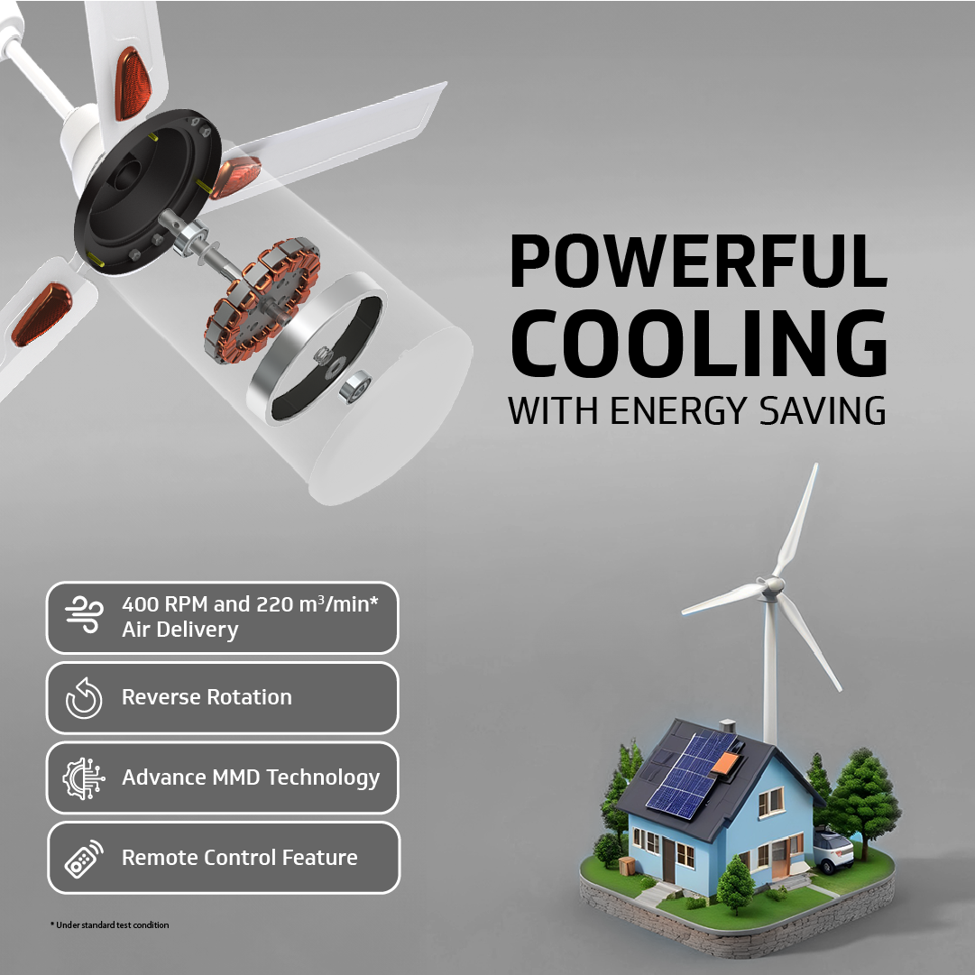 Windle Deco BLDC Ceiling fan with Remote, 1.2 m, 5-Star Rated, White