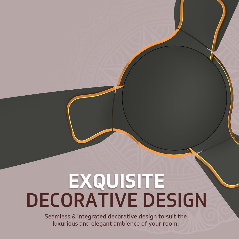 Exado Prime AS 1 Star 1.2 m 3 Blade Ceiling Fan-Choc Brown matt