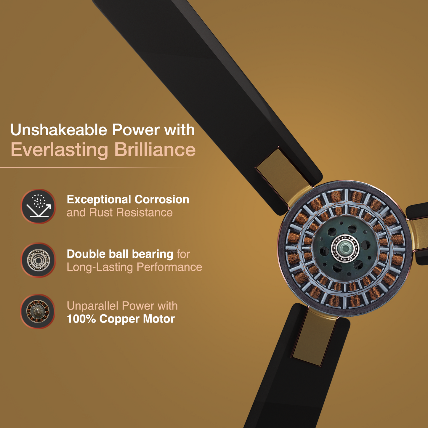 Exado AS Designer Ceiling Fan for Home 1.2 m