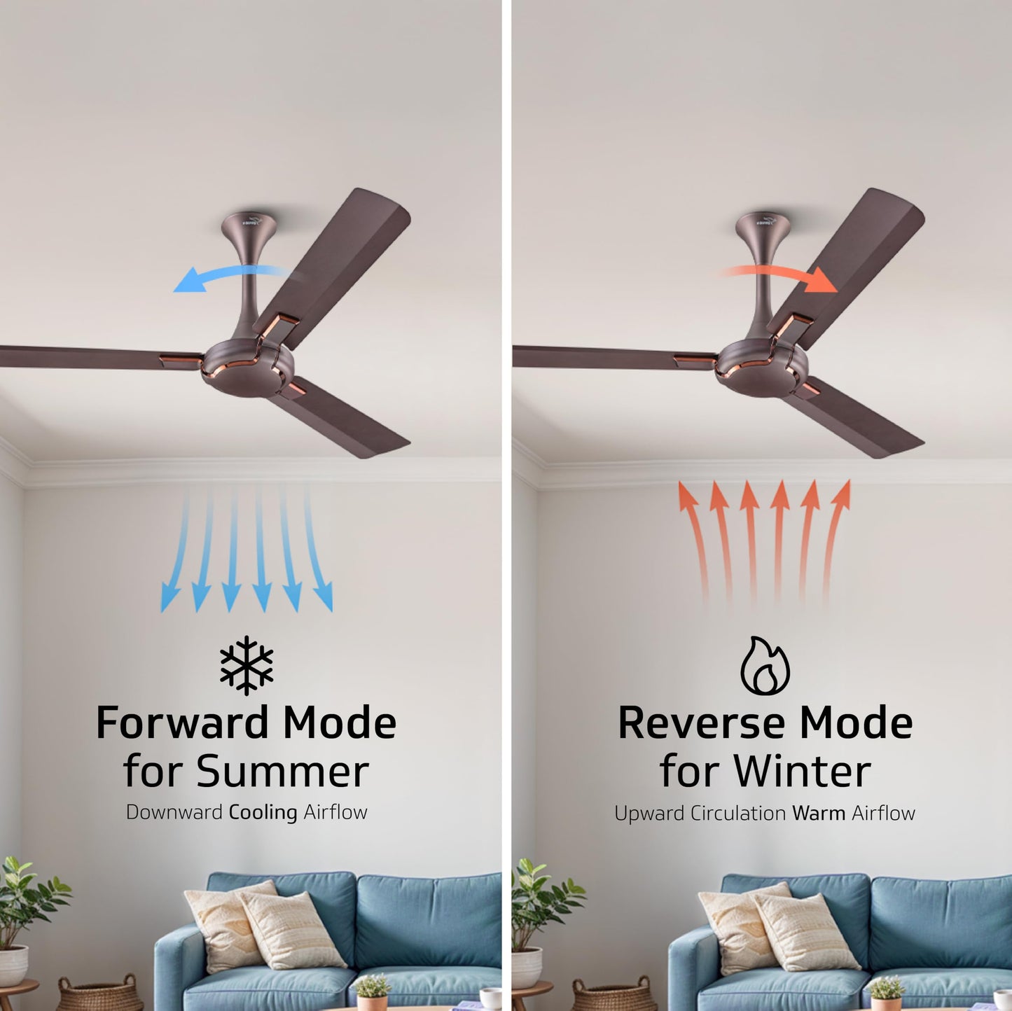 Exado Pro ES BLDC Ceiling Fan For Home, Anti Dust Coating, 5-Star Energy Saving, Remote Control, 100% Copper Motor, 1.2M (Elegance Brown Matte)
