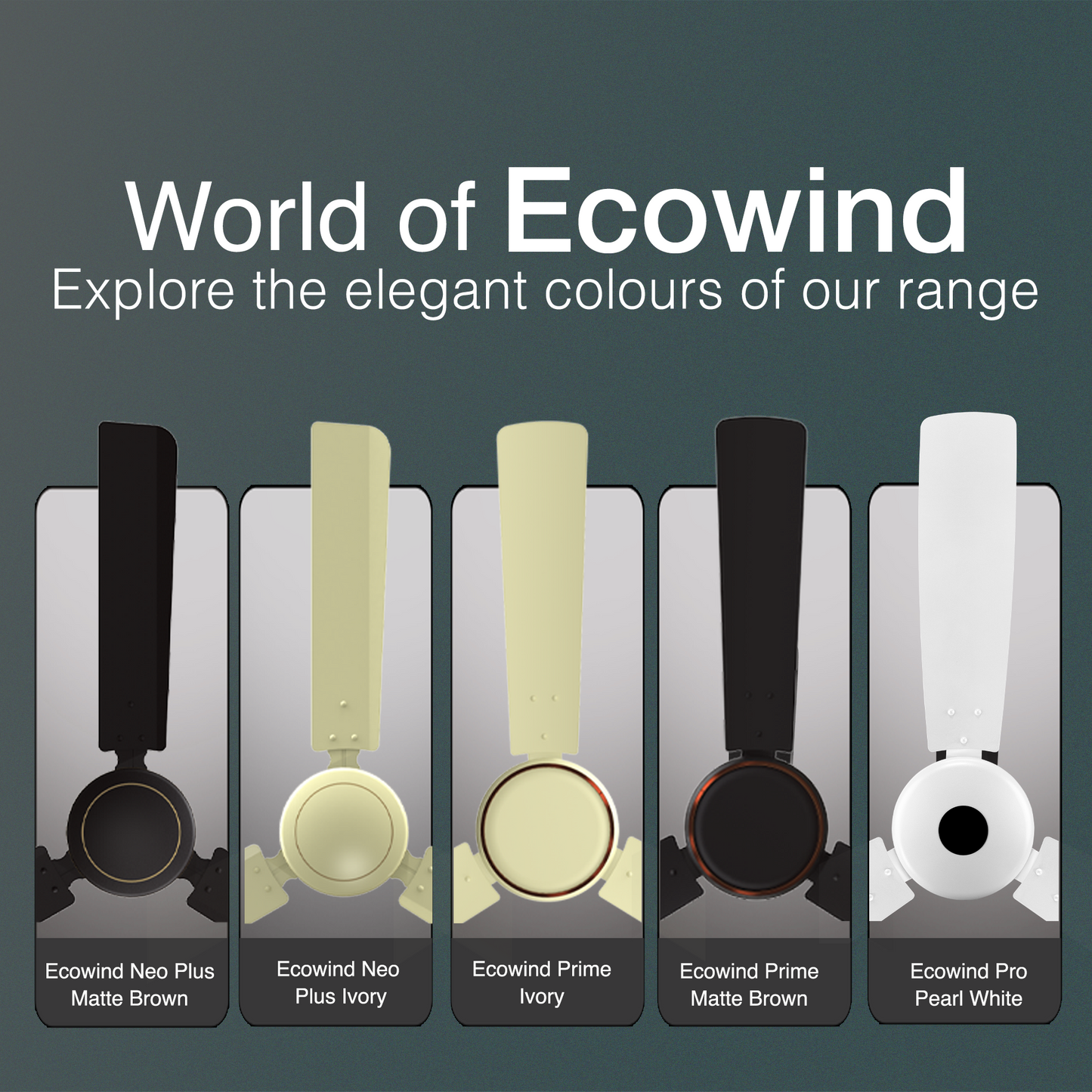 Ecowind Neo Plus BLDC Motor Ceiling Fan with Remote, 1.2 m, Brown, 5 Star Rated