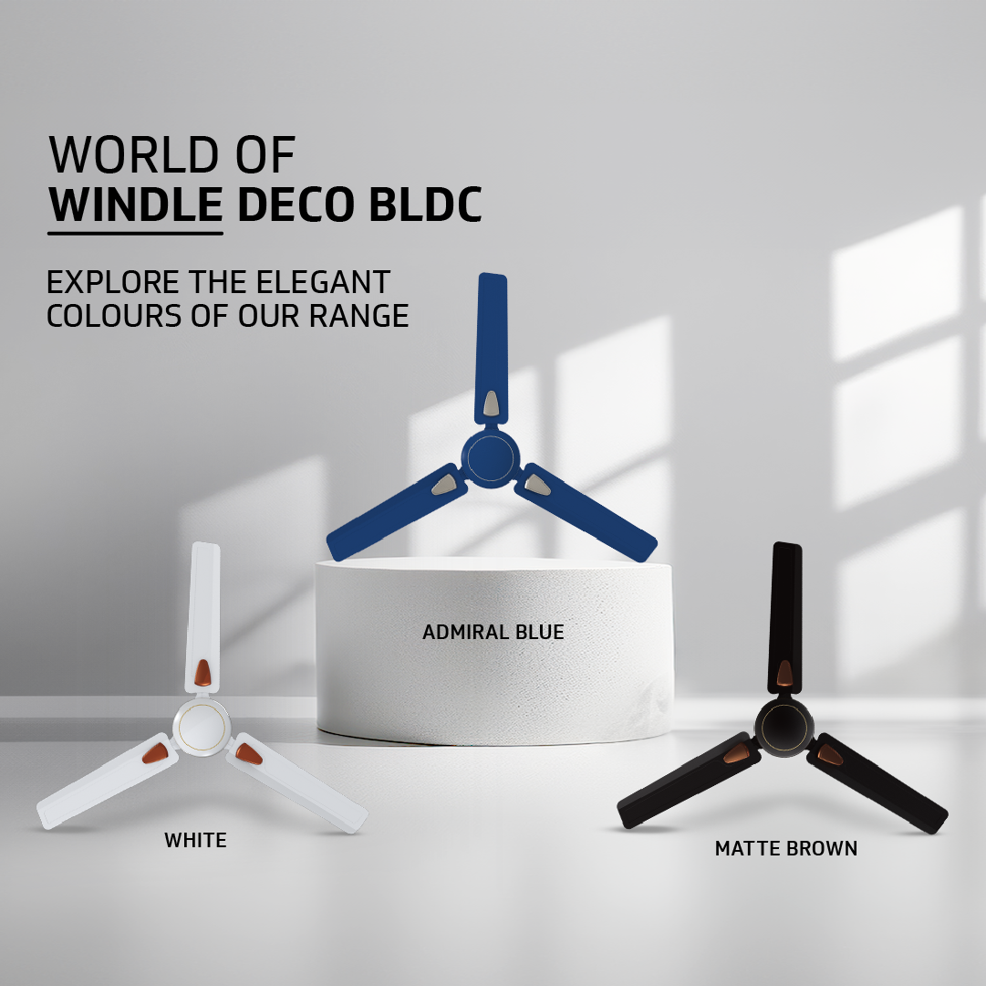 Windle Deco BLDC Ceiling fan with Remote, 1.2 m, 5-Star Rated, White