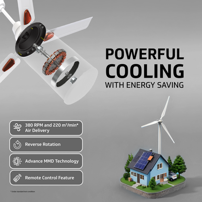 Windle Deco BLDC Ceiling fan with Remote, 1.2 m, 5-Star Rated, White