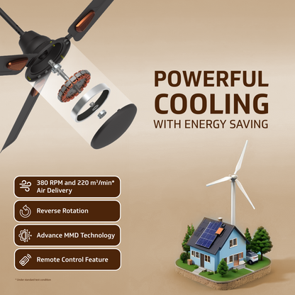 Windle Deco BLDC Ceiling fan with Remote, 1.2 m, 5-Star Rated, Matte Brown