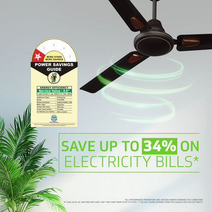 Windle Deco Bz Modern High Speed Ceiling Fan for Home 1.2 meters, Matte Brown