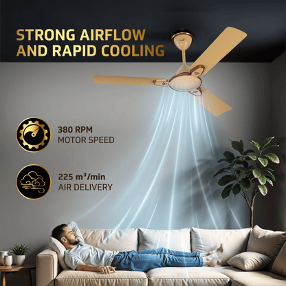 Besa Air Ceiling Fan For Home, High-Speed Copper Motor, Decorative Trims, 1.2 m, Imperial Gold
