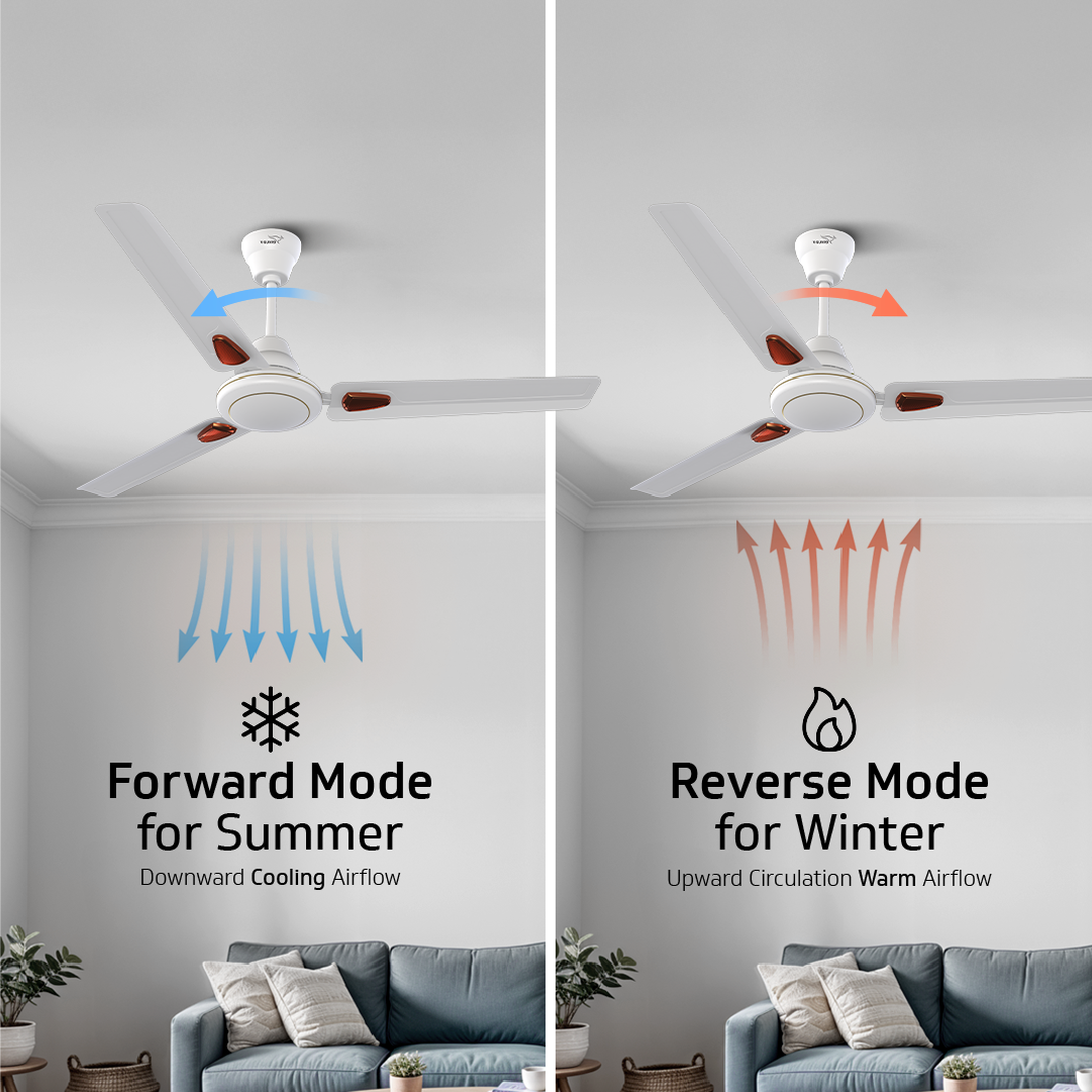 Windle Deco BLDC Ceiling fan with Remote, 1.2 m, 5-Star Rated, White