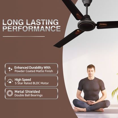 Windle Deco BLDC Ceiling fan with Remote, 1.2 m, 5-Star Rated, Matte Brown