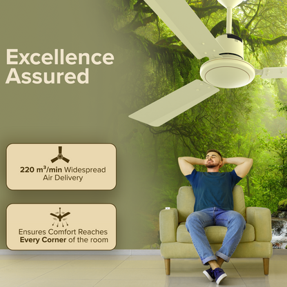 Ecowind Neo Plus BLDC Motor Ceiling Fan with Remote, 1.2 m, Ivory, 5 Star Rated