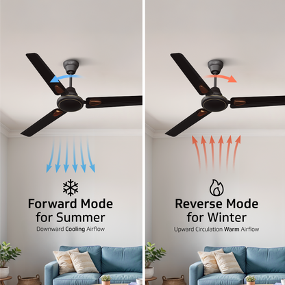 V-Guard Windle Deco BLDC Ceiling Fan 1200 mm | 5 Star BEE Rated | 34W Energy-Saving BLDC Motor | Remote Control with 4 Wind Modes & Timer | High Air Delivery | 2 Year Warranty | Matte Brown