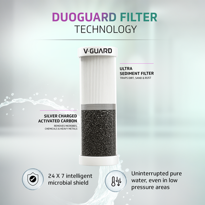 V-Guard Rejive RO UF Alkaline Water Purifier | 1 Year Unconditional Warranty, 1 Free Service Visit with DuoGuard Replacement | 8 Stage | Triple Powered Alkaline Health Charger | 6.5 L