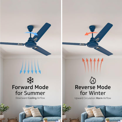 Windle Deco BLDC Ceiling fan with Remote, 1.2 m, 5-Star Rated, Admiral Blue
