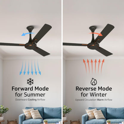 Exado Pro ES BLDC Ceiling Fan For Home, Anti Dust Coating, 5-Star Energy Saving, Remote Control, 100% Copper Motor, 1.2M (Choco Brown Matte)