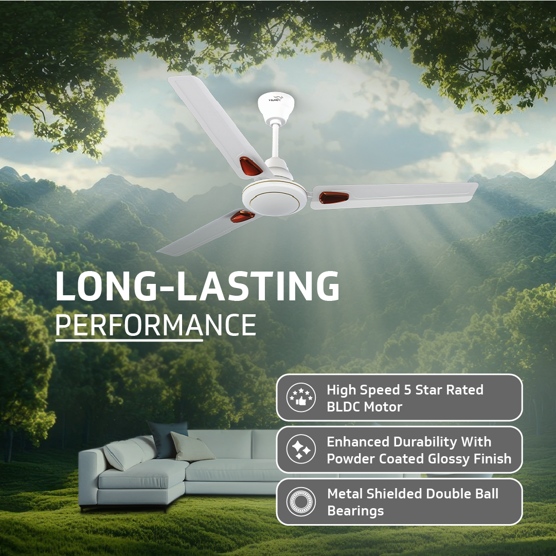 Windle Deco BLDC Ceiling fan with Remote, 1.2 m, 5-Star Rated, White