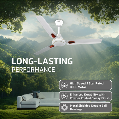 Windle Deco BLDC Ceiling fan with Remote, 1.2 m, 5-Star Rated, White