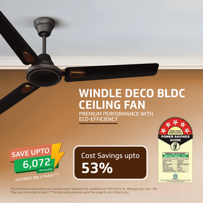 Windle Deco BLDC Ceiling fan with Remote, 1.2 m, 5-Star Rated, Matte Brown
