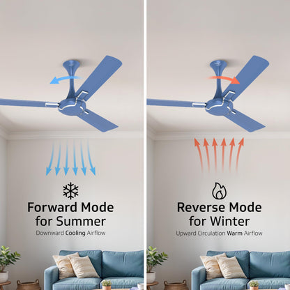 Exado Pro ES BLDC Ceiling Fan For Home, Anti Dust Coating, 5-Star Energy Saving, Remote Control, 100% Copper Motor, 1.2M (Riband Blue Matte)