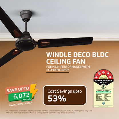 Windle Deco BLDC Ceiling fan with Remote, 1.2 m, 5-Star Rated, Matte Brown