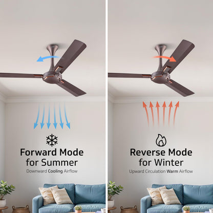 Exado Pro ES BLDC Ceiling Fan For Home, Anti Dust Coating, 5-Star Energy Saving, Remote Control, 100% Copper Motor, 1.2M (Elegance Brown Matte)